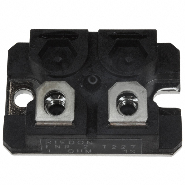 FNR2E-1RF1 Riedon  Widerstände für die Chassismontage